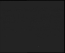 Nástup na běžecké tratě