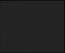 Nástup na běžecké tratě