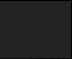 Nástup na běžecké tratě