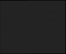 Nástup na běžecké tratě