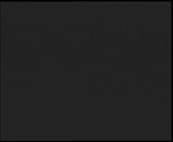 Nástup na běžecké tratě