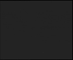 Nástup na běžecké tratě