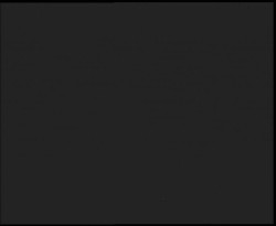 Nástup na běžecké tratě