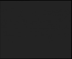 Nástup na běžecké tratě