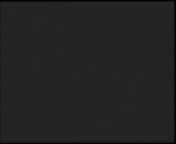 Nástup na běžecké tratě