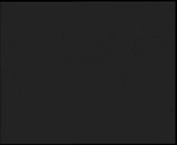 Nástup na běžecké tratě