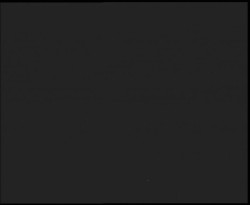 Nástup na běžecké tratě