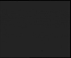 Nástup na běžecké tratě