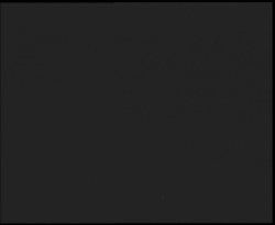 Nástup na běžecké tratě