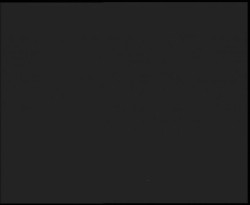 Nástup na běžecké tratě