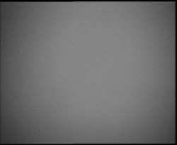 Nástup na běžecké tratě