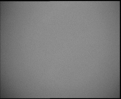 Nástup na běžecké tratě