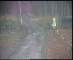 Nástup na běžecké tratě