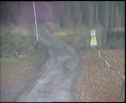 Nástup na běžecké tratě