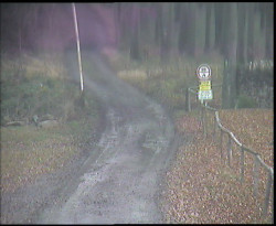 Nástup na běžecké tratě