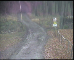 Nástup na běžecké tratě