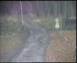 Nástup na běžecké tratě