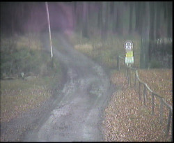 Nástup na běžecké tratě