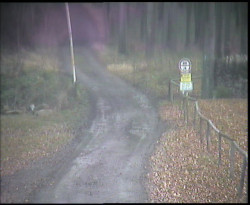 Nástup na běžecké tratě