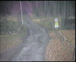 Nástup na běžecké tratě