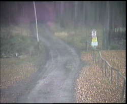 Nástup na běžecké tratě