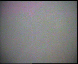 Nástup na běžecké tratě