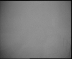 Nástup na běžecké tratě