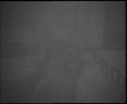 Nástup na běžecké tratě