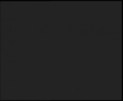 Nástup na běžecké tratě