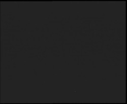 Nástup na běžecké tratě