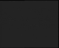 Nástup na běžecké tratě