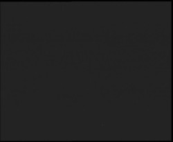 Nástup na běžecké tratě