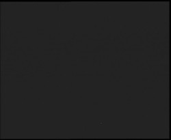 Nástup na běžecké tratě