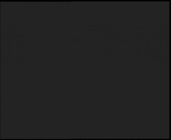 Nástup na běžecké tratě