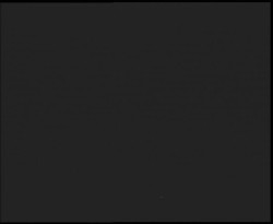 Nástup na běžecké tratě