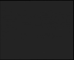 Nástup na běžecké tratě