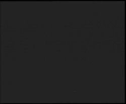 Nástup na běžecké tratě