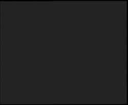 Nástup na běžecké tratě