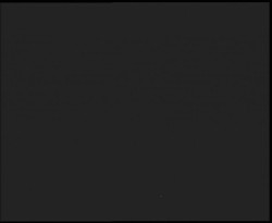 Nástup na běžecké tratě