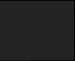 Nástup na běžecké tratě