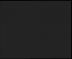 Nástup na běžecké tratě