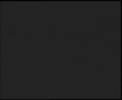 Nástup na běžecké tratě