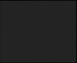 Nástup na běžecké tratě