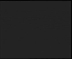 Nástup na běžecké tratě