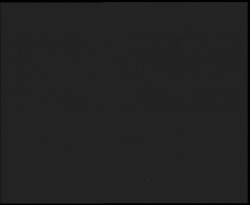 Nástup na běžecké tratě