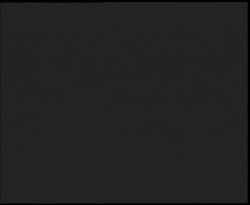 Nástup na běžecké tratě