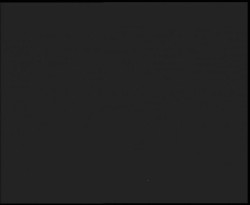 Nástup na běžecké tratě