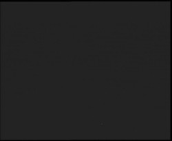 Nástup na běžecké tratě