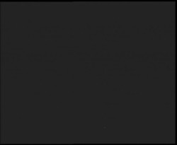 Nástup na běžecké tratě