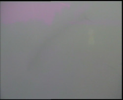 Nástup na běžecké tratě